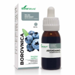 Borovnica ekstrakt Bez Alkohola XXL 50ml SORIA