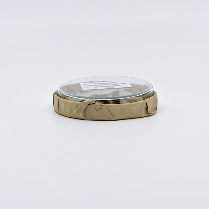 Petrijeva zdjelica 80X15 mm staklena pcs - Slika 1