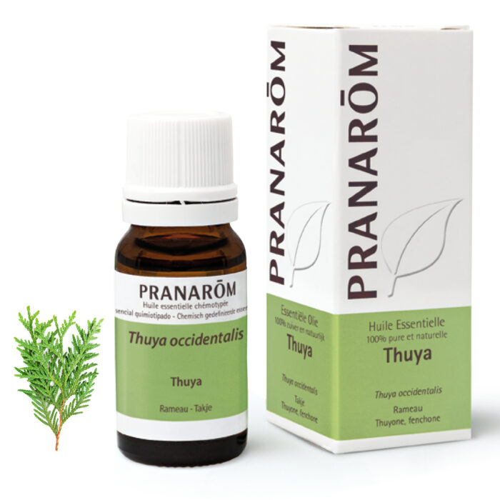 Tuja eterično ulje 10 ml Pranarom - Slika 1