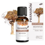Meditation - mješavina za difuzer BIO 30 ml Pranarom