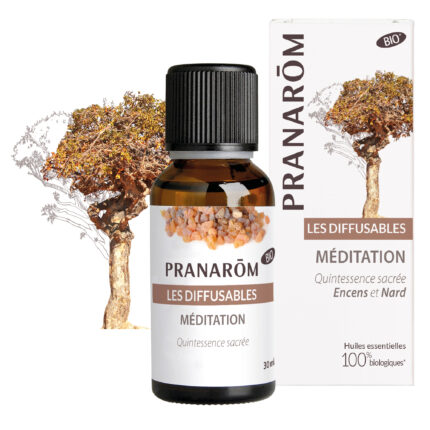 Meditation - mješavina za difuzer BIO 30 ml Pranarom