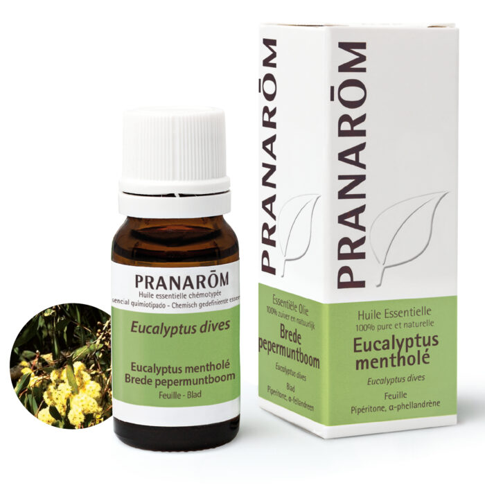 Eucalyptus dives eterično ulje 10 ml Pranarom - Slika 1