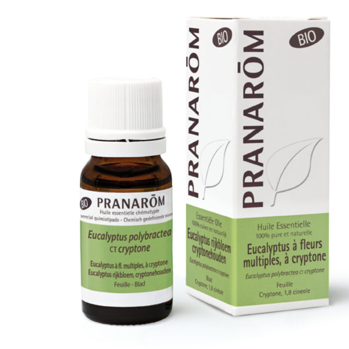 Eukaliptus polibraktea kemotip kripton eterično BIO 10 ml Pranarom - Slika 1