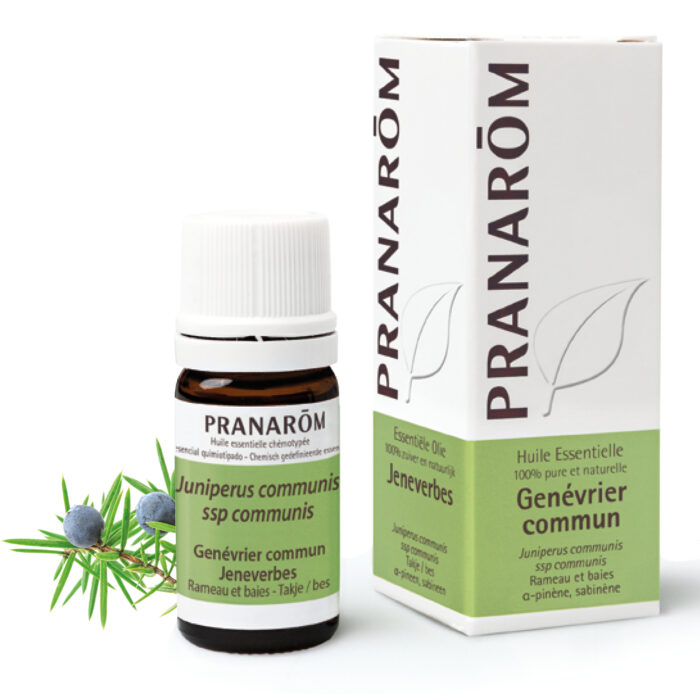 Borovica eterično ulje 5 ml Pranarom - Slika 1