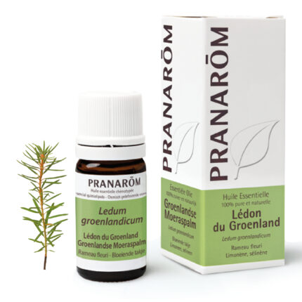 Ledum eterično ulje 5 ml Pranarom