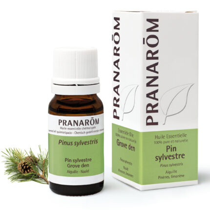 Bor bijeli eterično ulje 10 ml Pranarom