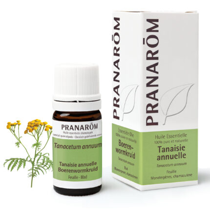 Tanacetum eterično ulje 5 ml Pranarom