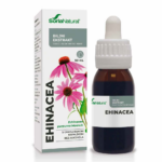 Ehinacea Ekstrakt Bez Alkohola Soria 50 ml