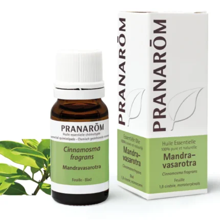 Mandravasarotra Saro eterično ulje 10 ml Pranarom