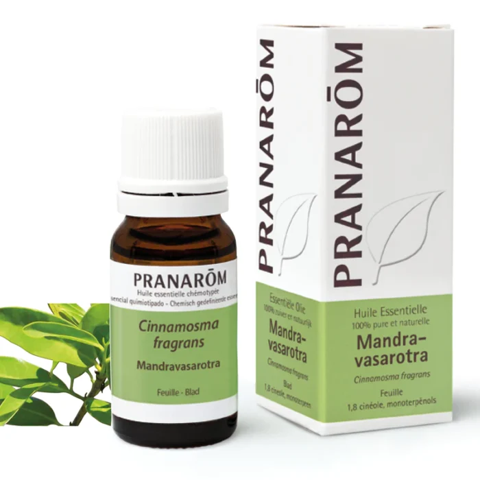 Mandravasarotra Saro eterično ulje 10 ml Pranarom - Slika 1