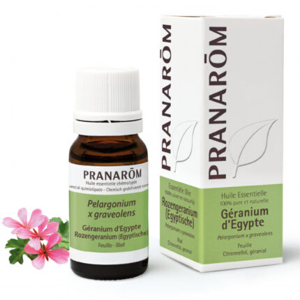 Geranij egipatski eterično ulje 10 ml Pranarom