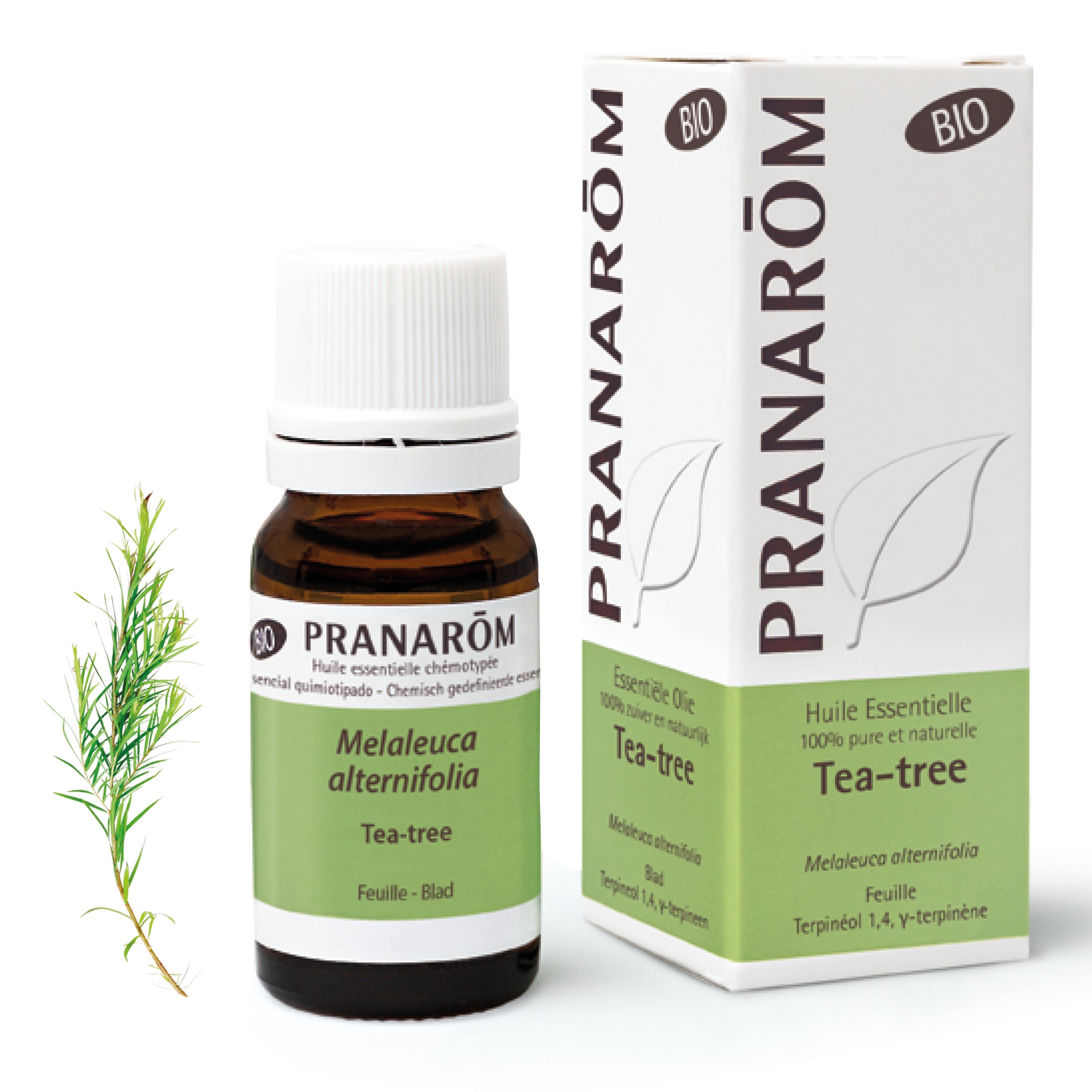 Čajevac eterično ulje BIO 10 ml Pranarom Čajevac eterično ulje BIO 10 ml Pranarom - Slika 1