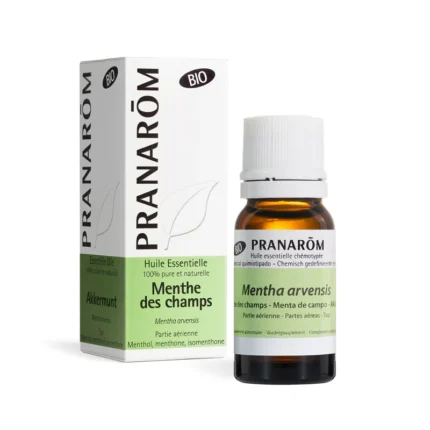 Metvica japanska eterično ulje BIO 10 ml Pranarom
